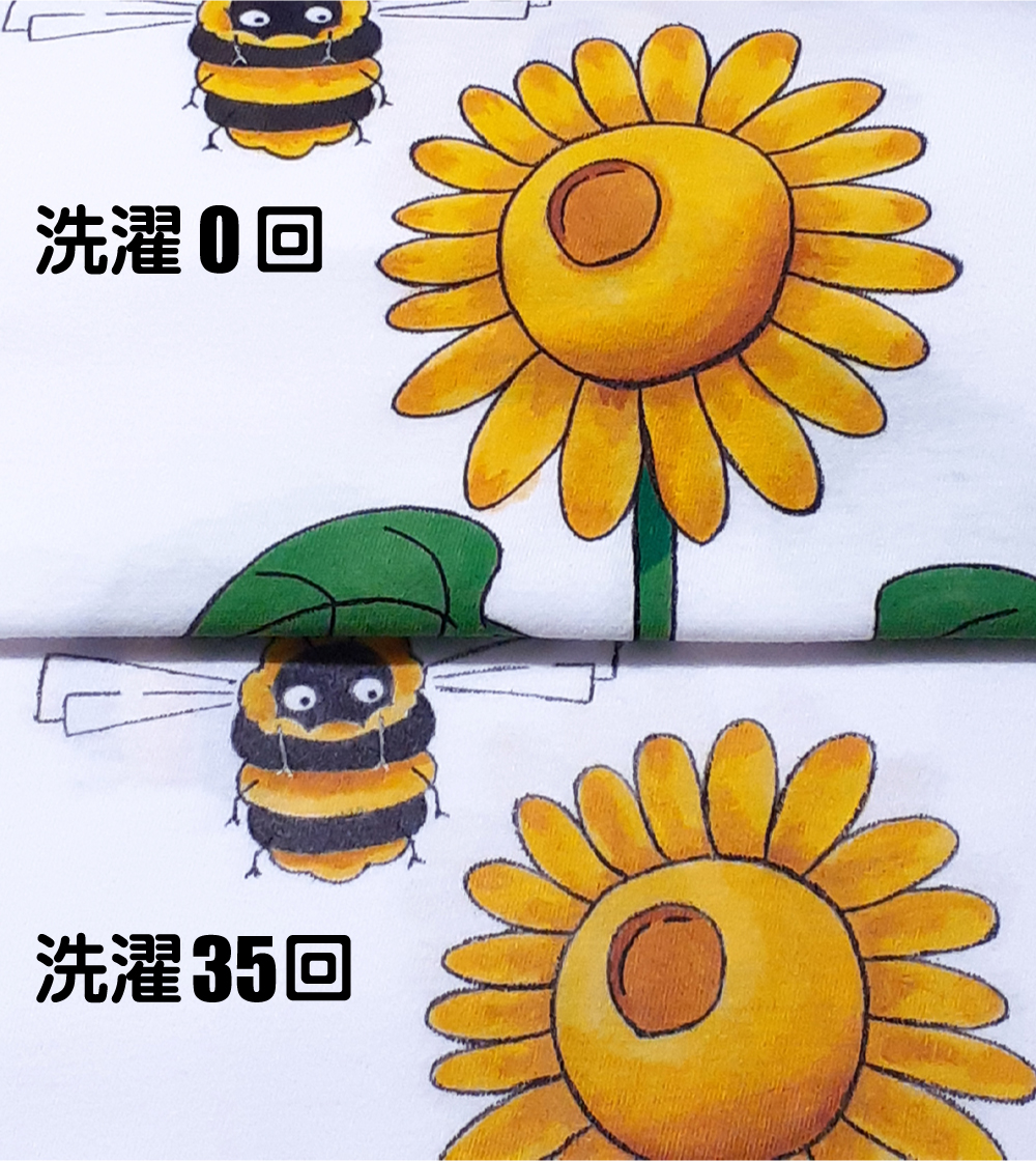 洗濯35回後との比較画像