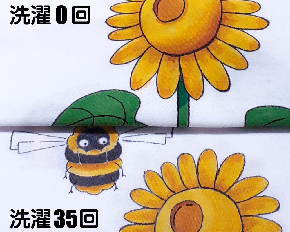 洗濯35回後との比較画像